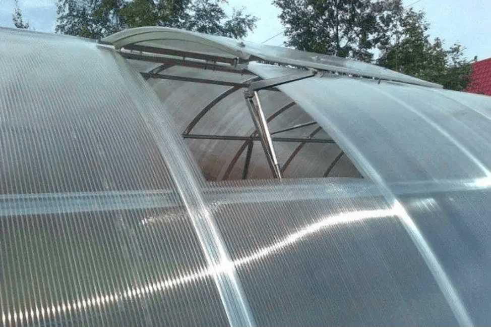 Когда и как проводить сезонную дезинфекцию в теплице Когда и как проводить сезонную дезинфекцию в теплице